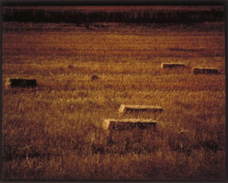 Near Ellensburg