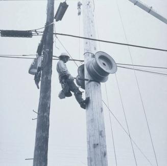 Dave Hanging Spider Reel, 6th Avenue S. and S. Hanford, Seattle