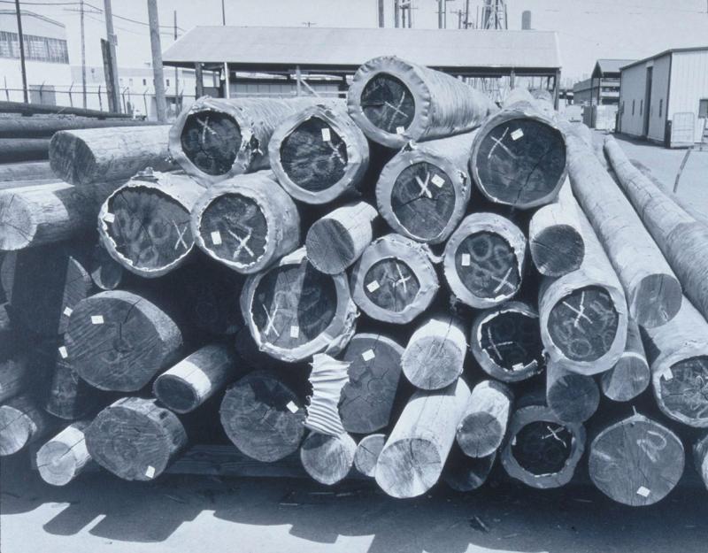 Utility Poles in South Service Center Yard, Seattle