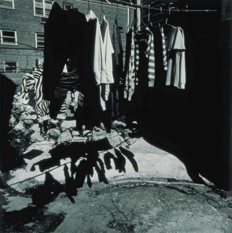 Chicago Dreamscape; Chinatown Backyard