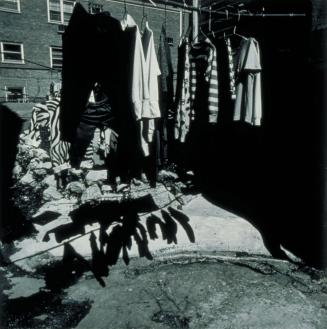 Chicago Dreamscape; Chinatown Backyard