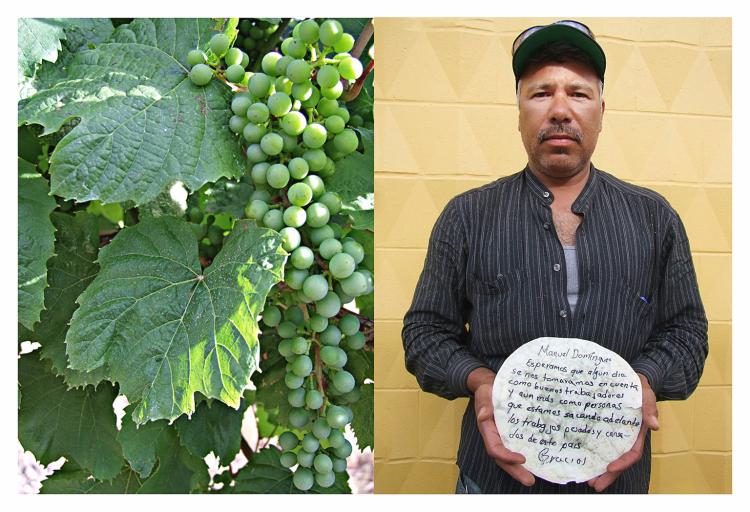 Manuel Dominguez, Farmworker