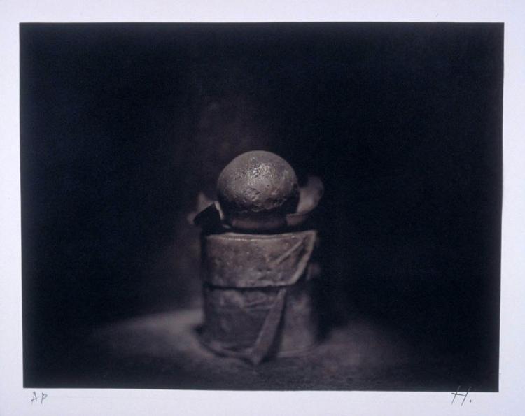 Hatchling, Shadow Box Series (AP)