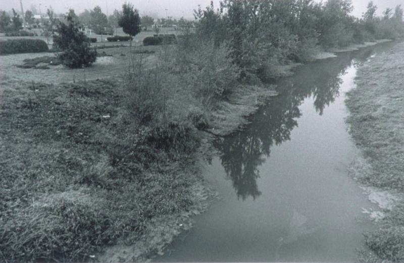 Columbia Slough Drainage