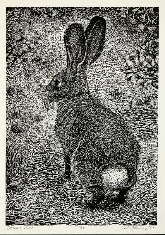 Desert Hare