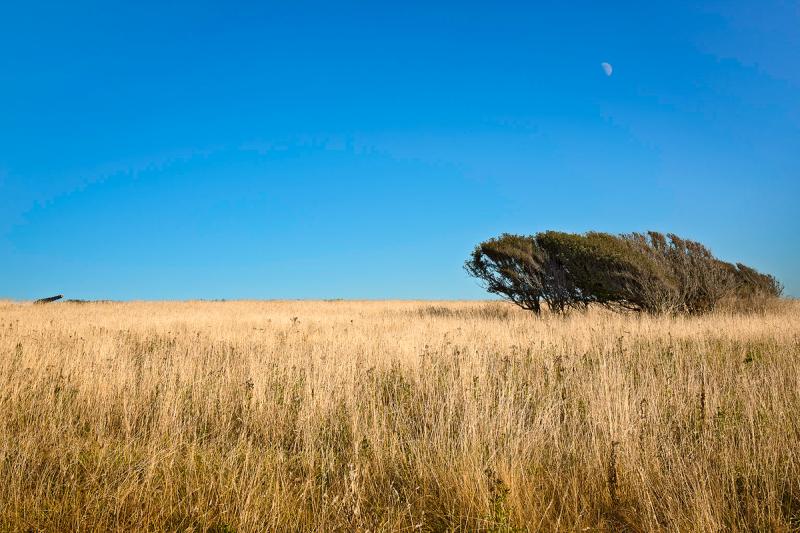 Fort Casey Altered Landscape