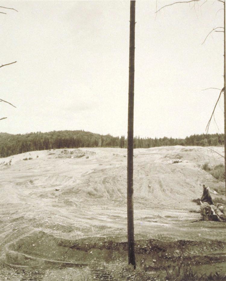 Untitled (Tree and Gravel Pit)