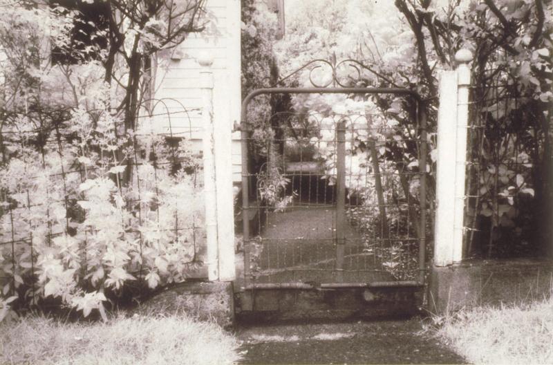 Untitled (Gate)