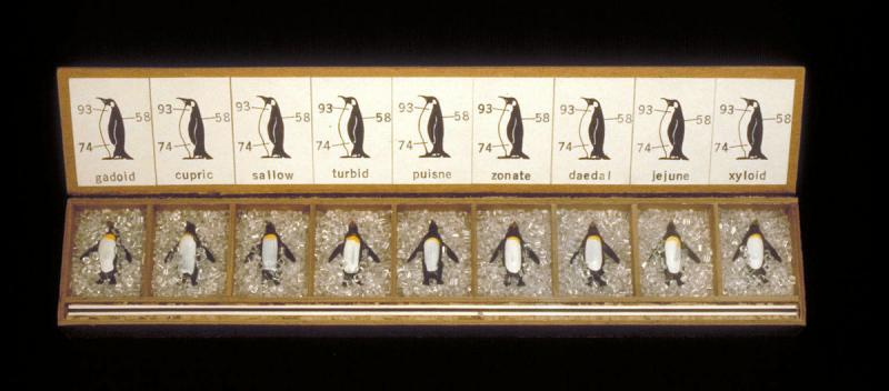 Penguin Box