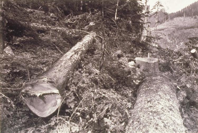 Camp Grisdale - Simpson Timber - Shelton, WA