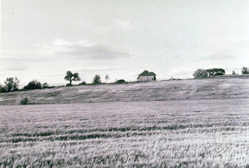 Ellensburg, Kittitas County, Wa (Field W/House)