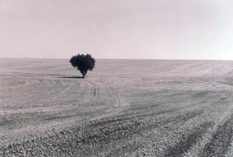 Near Ritzville, Adams County,