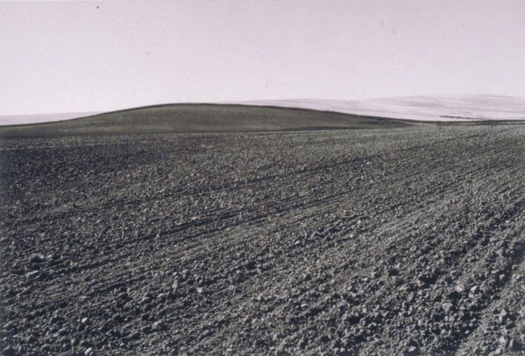 Davenport, Lincoln County, July 21, 1980