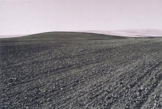 Davenport, Lincoln County, July 21, 1980