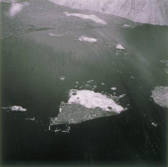 Spirit Lake Mt St Helens 1980