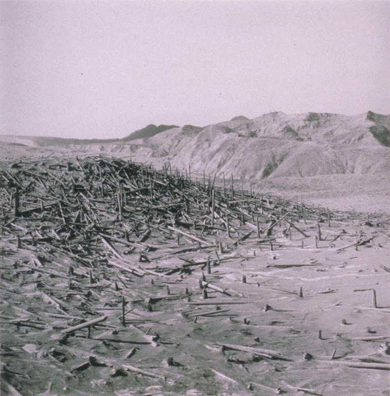 Area of Mt St Helens 1980