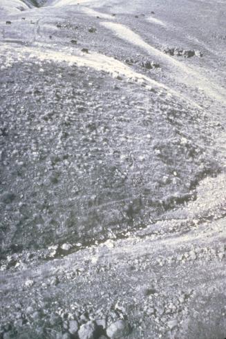 Twenty-Two Cows, Wiwawai Canyon