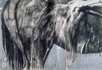 Untitled (From The Horse Series)