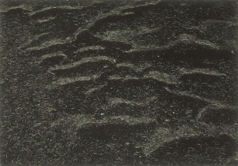 Untitled (Landscape)