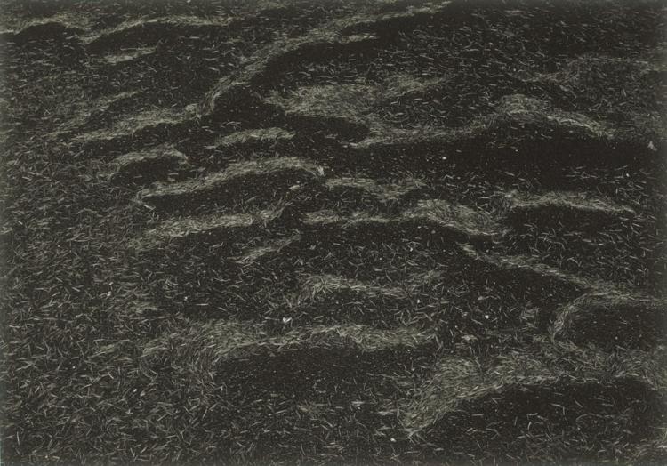 Untitled (Landscape)