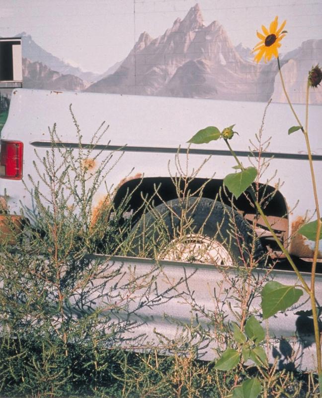 Mountain Flower, Lava, Idaho, Edition #8/50