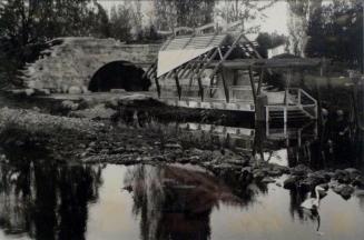 Reflective Refuge at Meadowbrook Pond