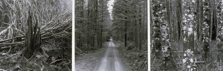 'A Place Preserved' Cedar Falls Watershed