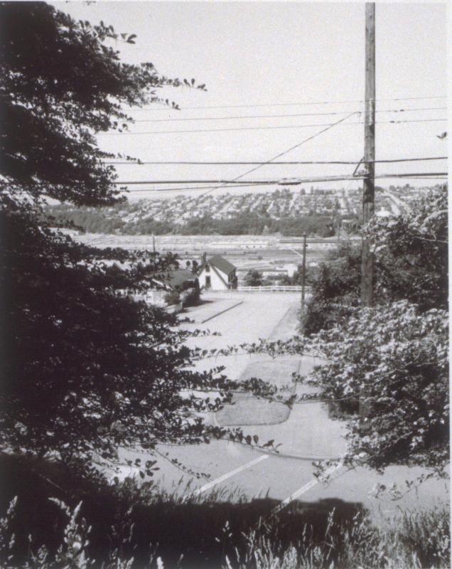 Untitled (Tree Left/Power Pole)