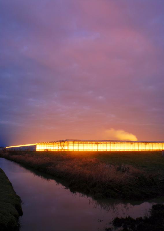 Discontinuous Spectrums:  Ladner GreenhouseLadner Greenhouse