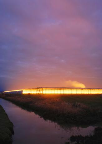 Discontinuous Spectrums:  Ladner GreenhouseLadner Greenhouse